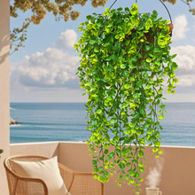 �����ȼ���������˹�ڒ������ٗl�����쾰���������b�픾Gֲ��