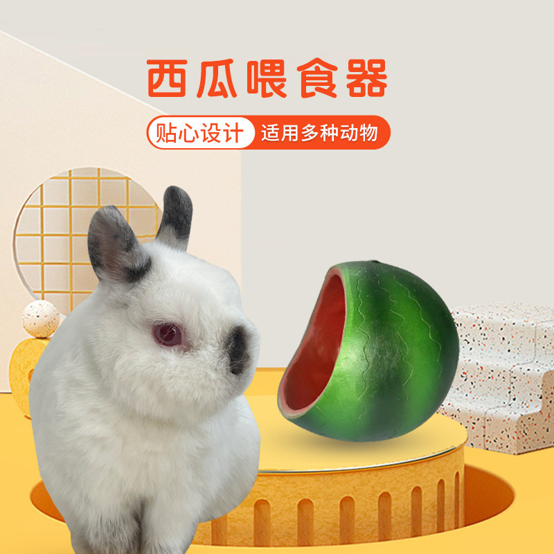 三禾雨鹦鹉鸟食罐固定食碗豚鼠龙猫食盒宠物挂碗西瓜碗兔子喂食器