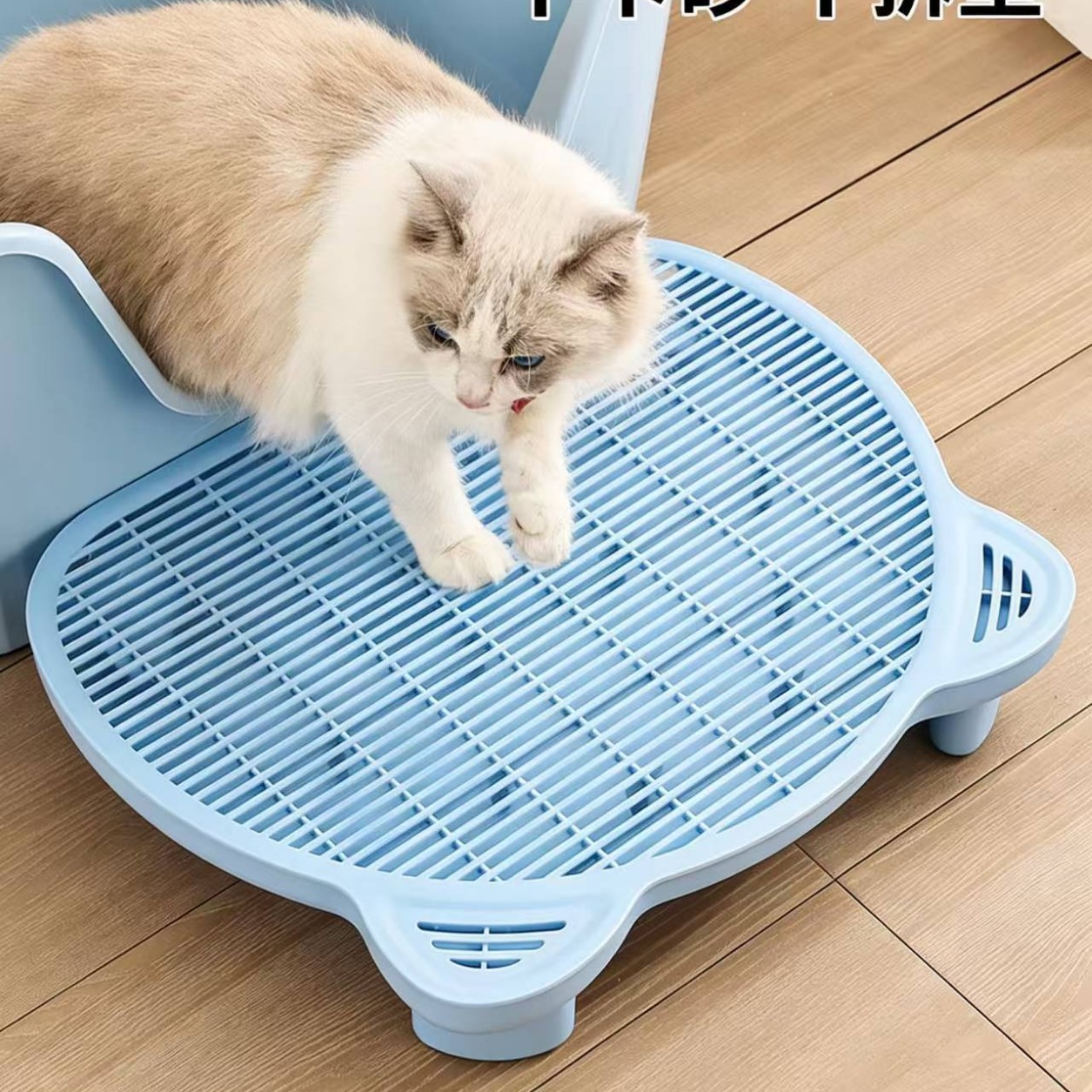 고양이 가정용 이중층 고양이 모래 매트, 휴대 방지, 물 튀김 방지 모래 제어 매트, 고양이 화장실, 고양이 모래통, 발 문지르기 및 모래 제어 테이블