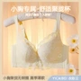 夏季调整薄款蕾丝文胸