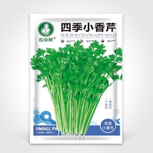 �ļ�С���۷N�� �G�۲�ˮ�۲��ѷN�̨���ԷNֲ�߲˷N�яS�����l