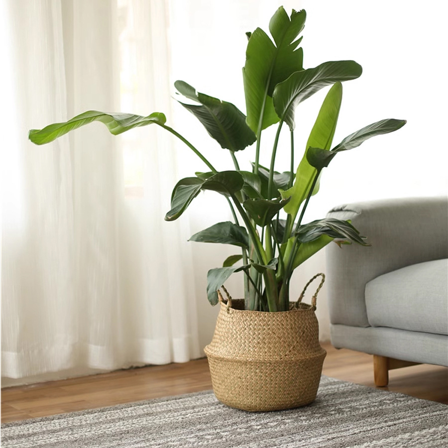 Paja trenzada floreciente plegable sala de estar decoración floral trenzada a mano floreciente planta portátil tela de caña canasta de flores casera