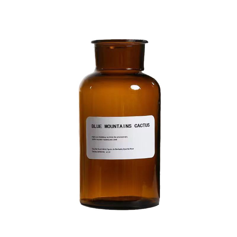 Ins jarrón transparente de vidrio de estilo nórdico florero reactivo florero seco de alta calidad de escritorio adornos de decoración del hogar