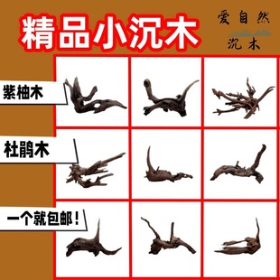 �~���쾰��ľ���N������ľ�ݸט䘶������̨���~�r�廨����΢���^