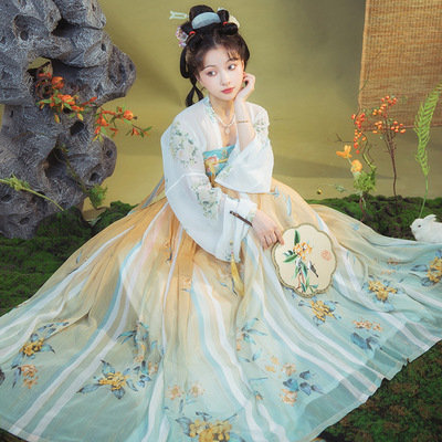 Women Chinese hanfu Han Tang Dynasty fairy princess dress for female photos shooting Kimono Dress for Girls