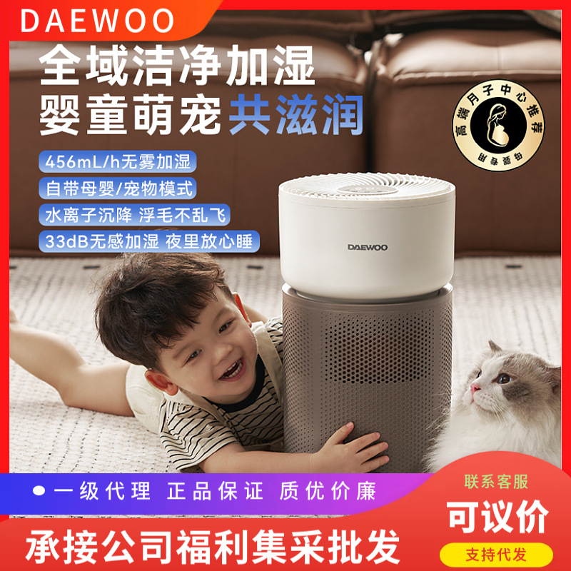 Dayu Fog-Free Humidifier for Home Use, Suitable for Babies, Pets, Air Conditioning, Heating Rooms, Baby Rooms, Dog Rooms, Bedroom, New Model Ph07
