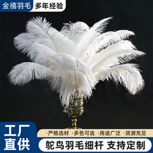 �F؛15-65cm�r�Bë���|��Ȼ��ë��c�[����̨�b��r�B��ë��ˇƷ
