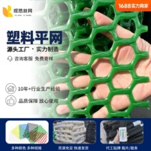 绿色塑料网格网拦鸡网家禽网养殖塑料网育雏漏粪网阳台防护防掉网