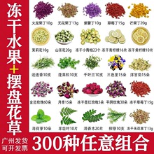 冻干水果柠檬调酒鸡尾酒装饰叶子蛋糕烘焙摆盘装饰花清香木薄荷