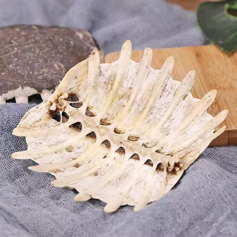 Bie Jia (Trionyx sinensis) Dried Turtle Shell Pieces — Traditional Chinese Herb, 500g preparation