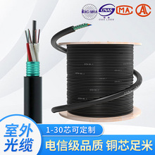 室外单模4芯6芯8芯12芯光缆 轻铠装光纤混合缆户外皮线光缆电缆