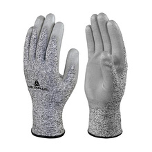 202058 Dĥp˺ѷoDPUT