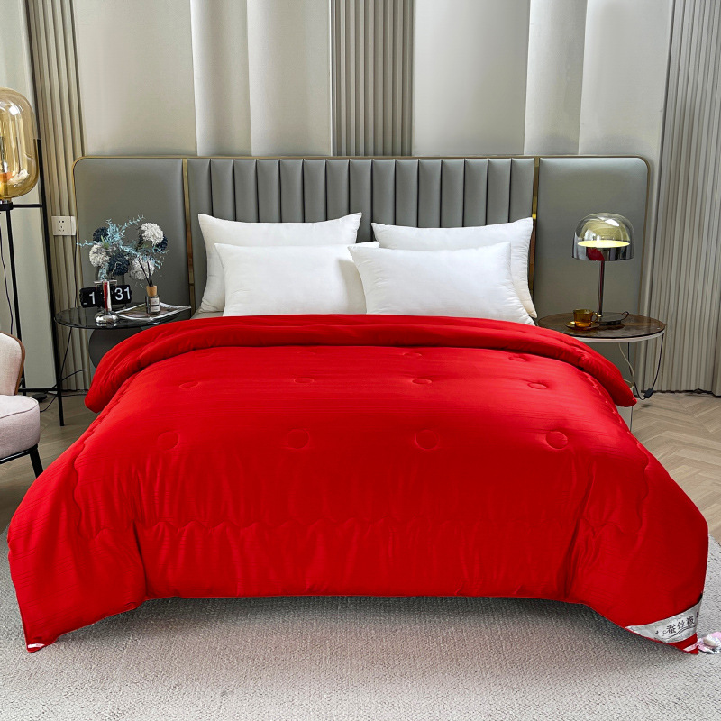 Wedding Silk Quilt 100% Mulberry Silk Winter Quilt with Thick Padding Warm Cover Comforter Core Red Happy Quilt Dual-Personal Wedding Dowry