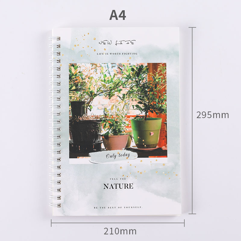 Libro de hojas sueltas fresco y fresco al por mayor