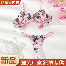 新款女士清新性感印花刺绣情趣内衣透明诱惑情趣文胸丁字裤二件套