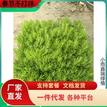 һ�����l���~��ײ��f�����픾G�������ͺ��ͺ��͟�ͥԺ�Nֲ