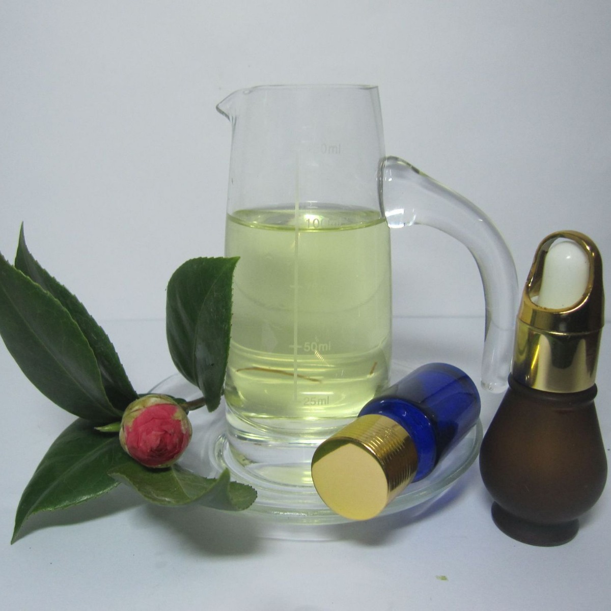 ��������  ֲ��������  ������� ��ӭѡ��