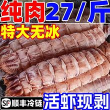 ƤƤ�r���r������r�����⺣�rˮ�a�r��F���r���r�Þ|���r�⼃��