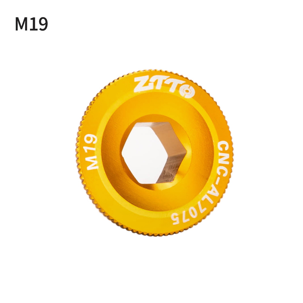 M19 oro