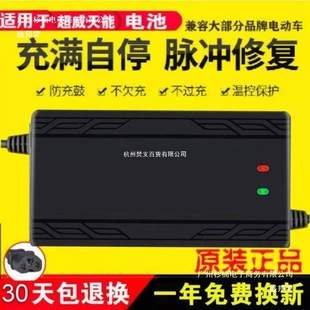 【自動斷電】兩輪三輪電動車電瓶充電器48V 60V 72V 64V 20AH通用