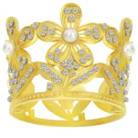 Оригинальный трансграничный амазонка Crown день рождения одеваются украшения цветы украшения короны минималистский детский легированный головной убор