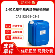 2-�u�һ��׻���ϩ���������� ���S���|��Ʒ������b52628-03-2