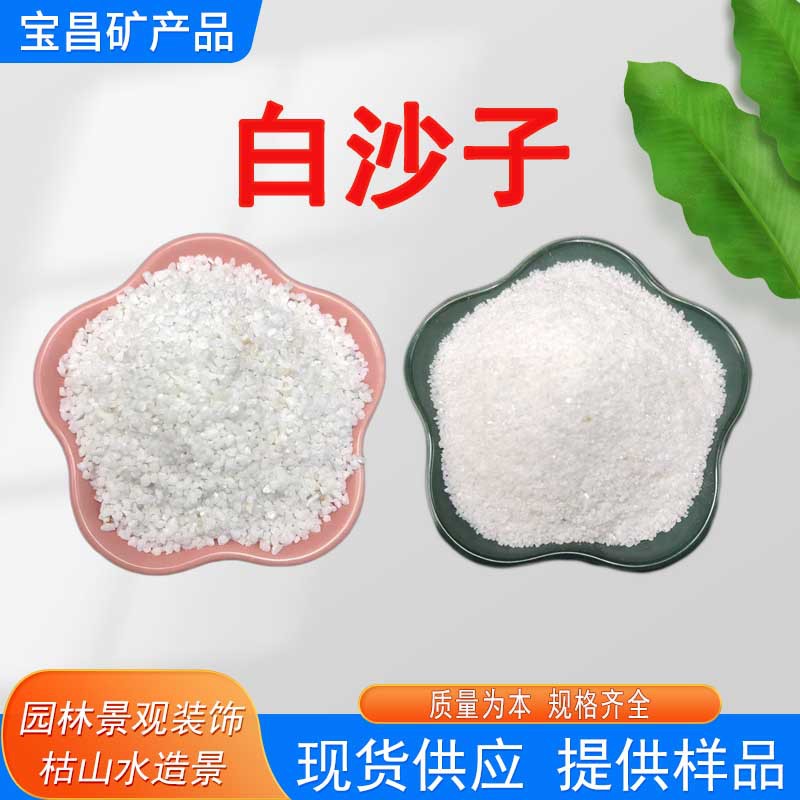 白沙子 肌理砂白色颗粒沙儿童娱乐装饰造景白沙用20-40雪花白砂子