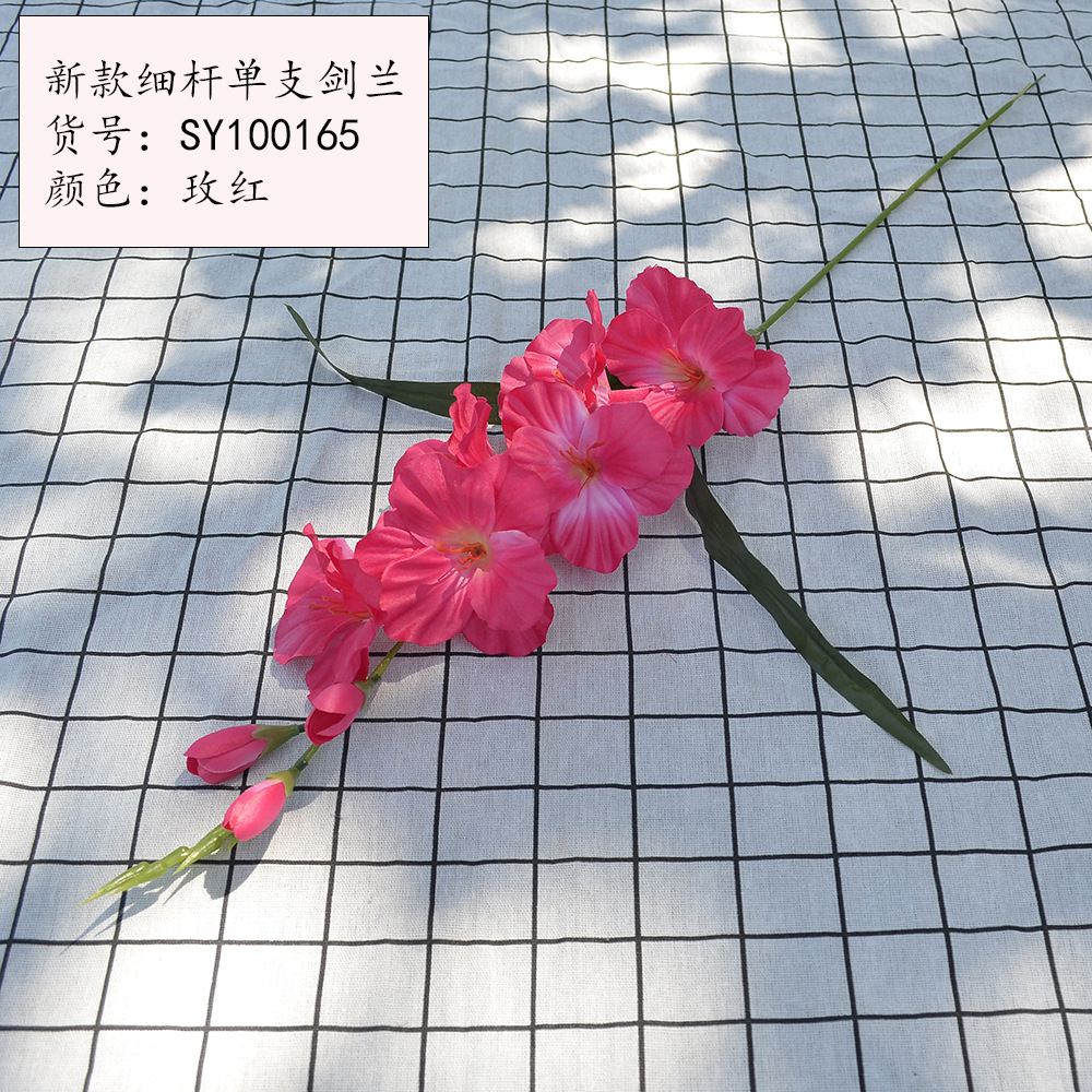 새로운 얇은 줄기 단일 스피어 글라디올러스 로즈 레드