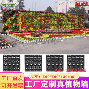 ���ϱڒ�16�׺�ɫ�����������^�������� ���M�ṩ���b�D�� �S��