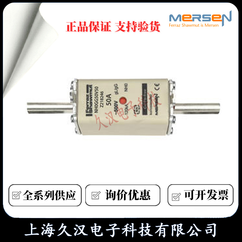 罗兰熔断器NH0GG50V50/Z218246  NH0GG50V63/N218765