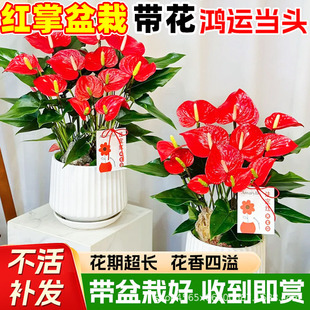 �t�����\���^�������Դ�̖�ؼ��͏d�Ȼ������辰ˮ�������՚�Gֲ