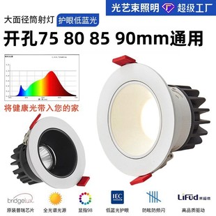 Wide edge led spotlight small hill embedded hole 75 80 90 home living room 100 large surface diameter anti-glare Downlight
