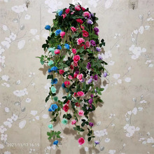 õ廨ټٻٗlbϱڒWʽҿ͏d͏dcm