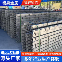鍍鋅電纜橋架現貨批發規格齊全廠房布線用槽式托盤式金屬防火橋架