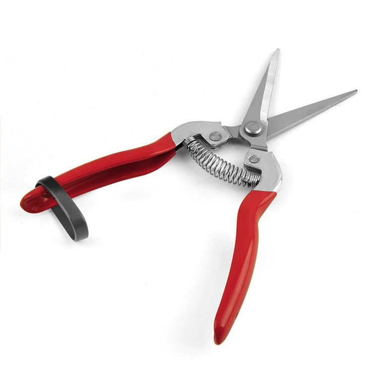 Нержавеющая сталь садовый обрезка из нержавеющей стали грубая обрезка резка резка из сада ножницы фруктового дерева в наличии