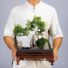 С�~������ɽˮ��ɽ�辰�����Ϙ�ֲ���҃ȿ͏d�k���Ҳ��ҾGֲ����