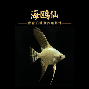 ���t���~���~�����~�Ꭷ�~��ˮ�~�^�p�~���wС�Ͳݸװ׽�̨ϵ�߲�