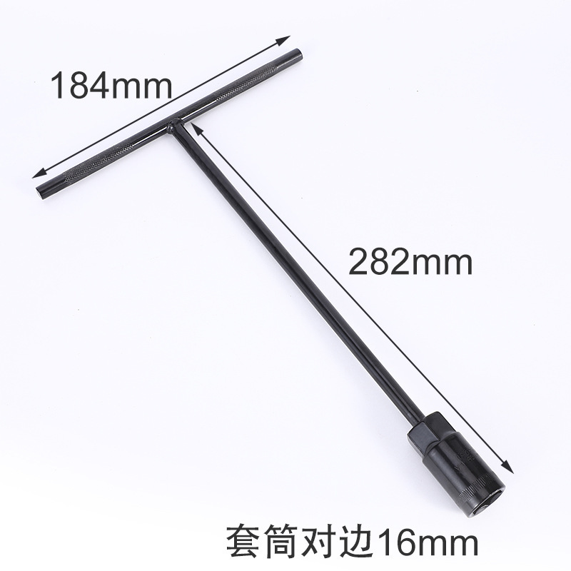 16(전기영동 T형)