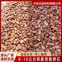 8-10ĥZʯ M3CеxY Դ^S҃r񃞻