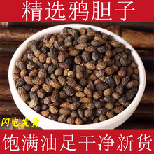 鸦胆子中药材新货饱满颗粒鸦胆籽泡茶老鸦胆苦胆子苦参子鸦胆子仁