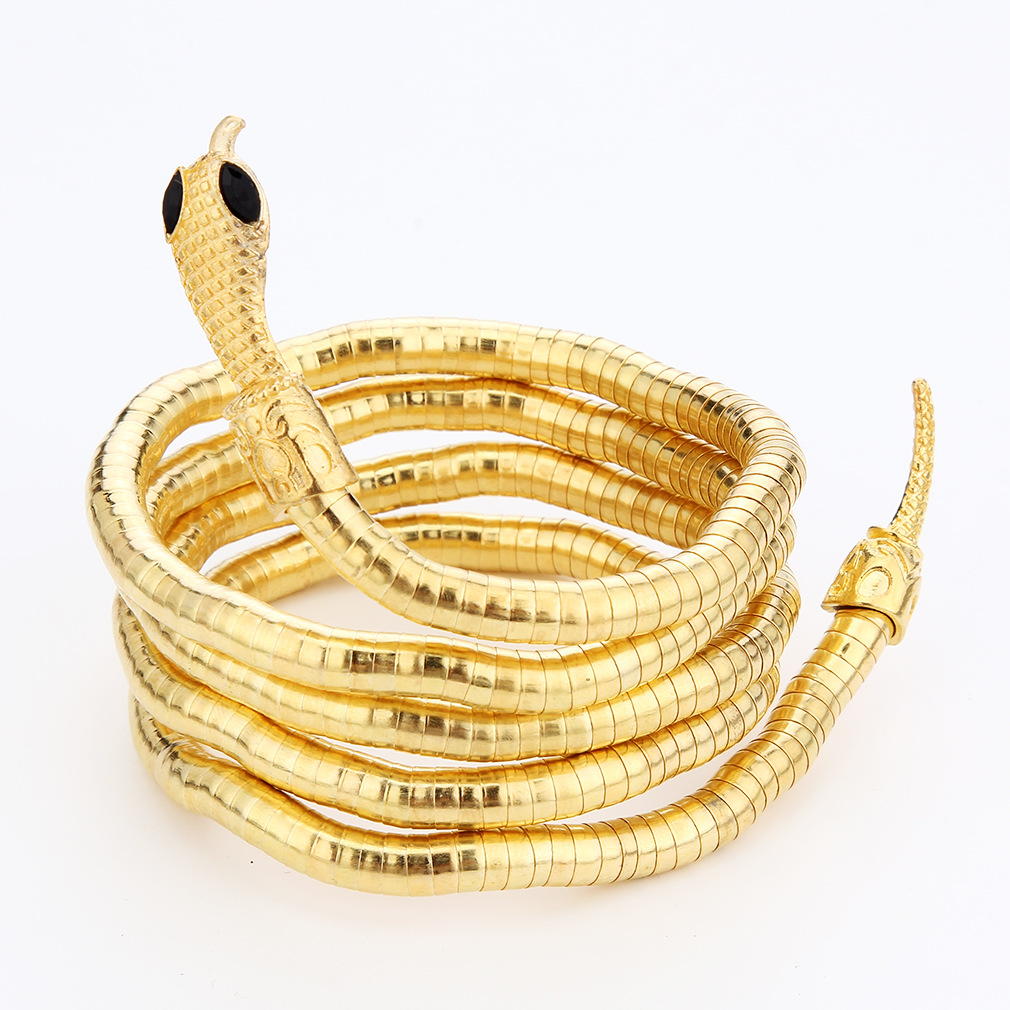 Unique Personality Twisted Snake Necklace INS Minimalist Style Niche Design Sense Hot Girl Dark Choker For Women And Men_voghion.com