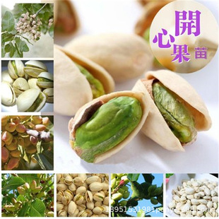 �_�Ĺ��簢���ӾG���ϱ����Nֲ���箔��Y���_�Ĺ��������Ե���