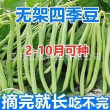 �o���ļ����o��ض��N���ļ����N�Ӱ���������̨�������߲˷N��