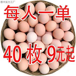 正宗农家散养土鸡蛋柴鸡蛋新鲜五谷混合虫喂养营养月子蛋笨鸡蛋