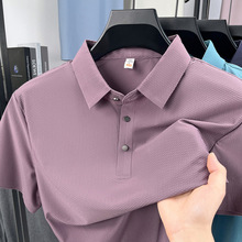 ��˿����T����ʿpolo�������ļ���������ְ�װ����2026�¿����