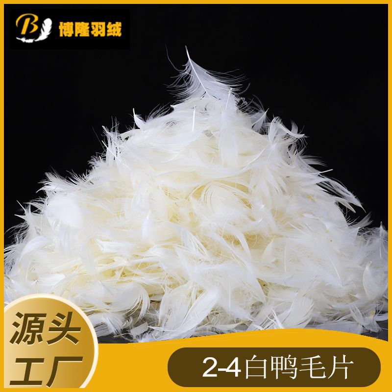 2-4白鸭毛片.jpg