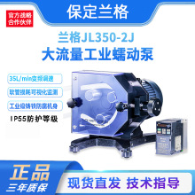 调速型蠕动泵大流量食品工业传输泵流化床供液生物催化剂软管泵