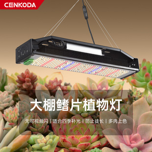 Manufacturer Wholesale Fin Plant Fill Light 50W Led Growth Light 240W Dimmable Sunlight-Like Plant Light