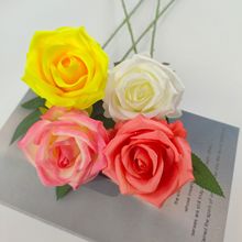 ���滨��֧����õ�ҾӾƵ��b�Y����õ�廨���zӰ���ߑ���