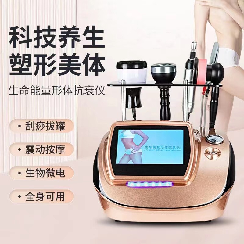 生命エネルギー形態抗老化装置DDSバイオ電気理学療法健康器具麦嘉欣欣陰圧刮痧理学療法器具|undefined